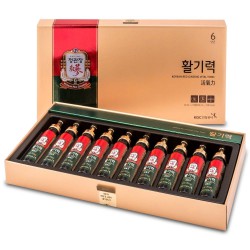 CheongKwanJang Hwal Ki Ryeok Korean Red Ginseng Vital Tonic